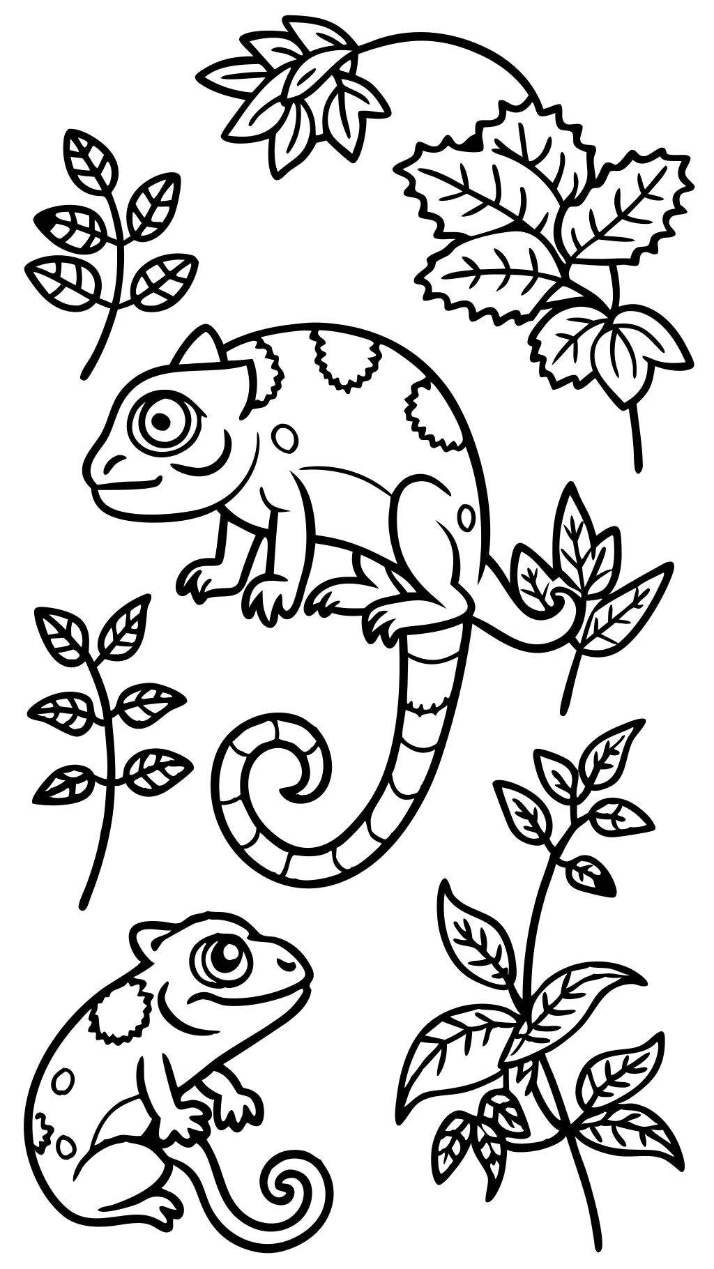 coloring pages of chameleons